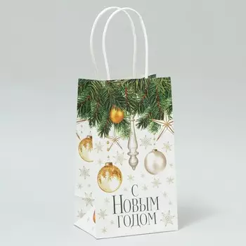 Пакет крафтовый «Новогодние чудеса», 12 21 9 см