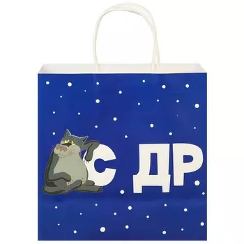 Пакет подарочный «С Др тебя если чо», 222211 см, крафт, упаковка, Жил-был Пес