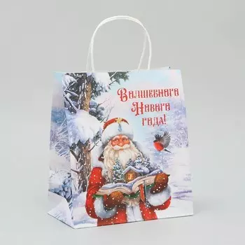 Пакет крафтовый «Волшебного Нового года», 22 25 12 см
