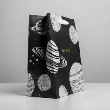 Пакет крафтовый вертикальный «Космос», ML 23 × 27 × 11.5 см