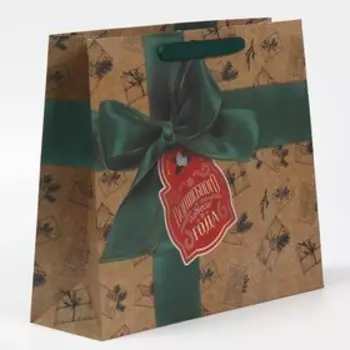 Пакет крафтовый вертикальный «Подарок с любовью», M 30 26 9 см