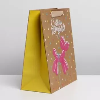 Пакет подарочный крафтовый вертикальный, упаковка, «Шарик», ML 23 х 27 х 11.5 см