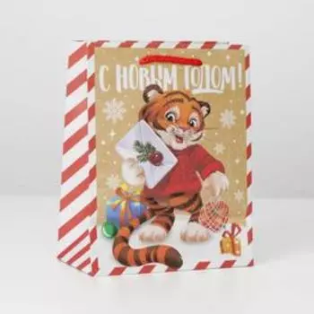 Пакет крафтовый вертикальный «Вам подарочек», MS 18 × 23 × 10 см