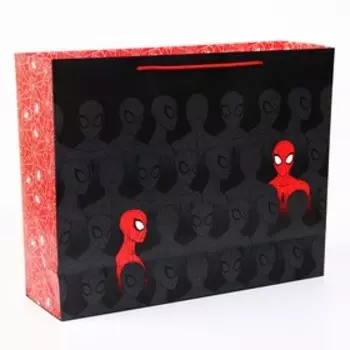 Пакет ламинированный горизонтальный, 50 х 40 х 15 см "Спайдер-мен", Человек-Паук