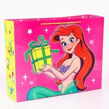 Пакет ламинированный горизонтальный, 50 х 40 х 15 см "Подружки", Принцессы