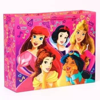 Пакет ламинат горизонтальный "Принцессы", Принцессы, 50 х 40 х 15