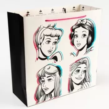 Пакет подарочный, 30х30х12 см, Принцессы