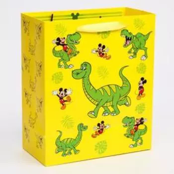 Пакет подарочный, 232711.5 см, упаковка, Микки Маус