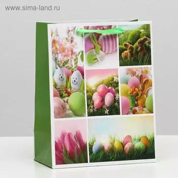 Пакет подарочный ламинированный, 18 x 23 x 10 см