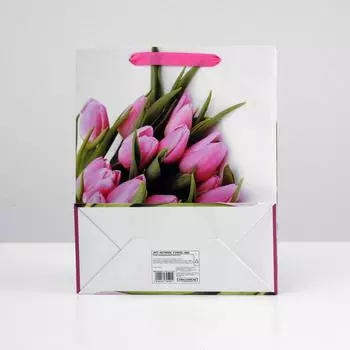 Пакет ламинированный, 26 x 32 x 12 см