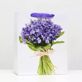 Пакет ламинированный, 26 x 32 x 12 см