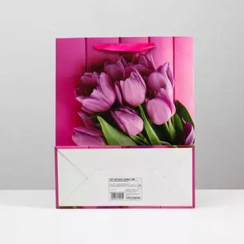 Пакет ламинированный, 26 x 32 x 12 см