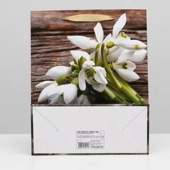 Пакет ламинированный, 26 x 32 x 12 см