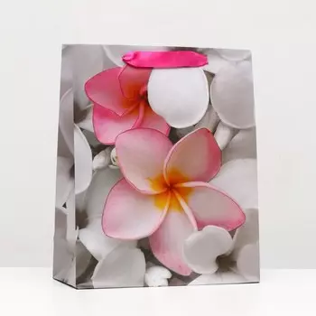 Пакет ламинированный, 26 x 32 x 12 см