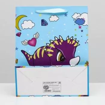 Пакет ламинированный, 26 x 32 x 12 см