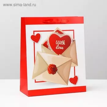 Пакет подарочный ламинированный, 26 x 32 x 12 см