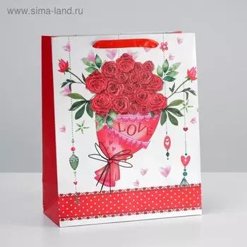 Пакет ламинированный, 26 x 32 x 12 см