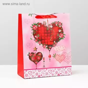 Пакет ламинированный, 26 x 32 x 12 см