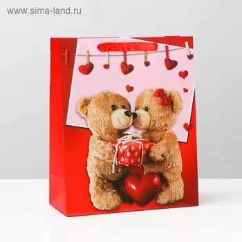 Пакет подарочный ламинированный, 26 x 32 x 12 см