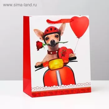 Пакет подарочный ламинированный, 26 x 32 x 12 см