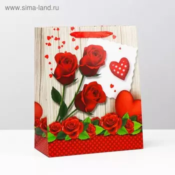 Пакет подарочный ламинированный, 26 x 32 x 12 см