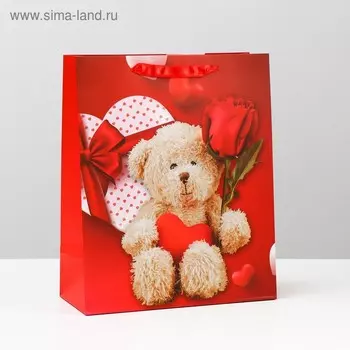 Пакет подарочный ламинированный, 26 x 32 x 12 см