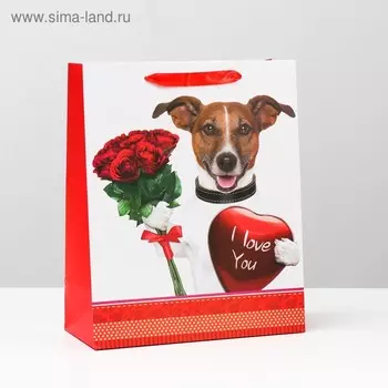 Пакет ламинированный, 26 x 32 x 12 см