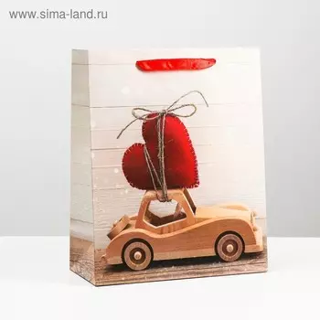 Пакет подарочный ламинированный, 26 x 32 x 12 см