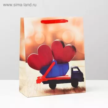 Пакет подарочный ламинированный, 26 x 32 x 12 см