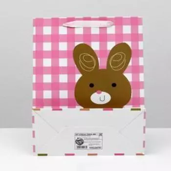 Пакет ламинированный, 26 x 32 x 12 см