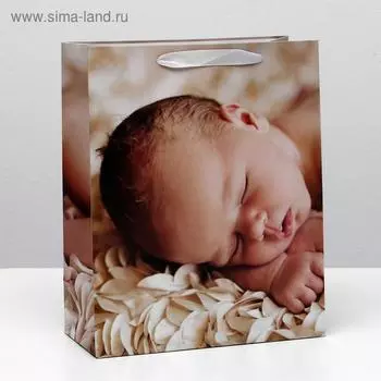 Пакет ламинированный, 26 x 32 x 12 см