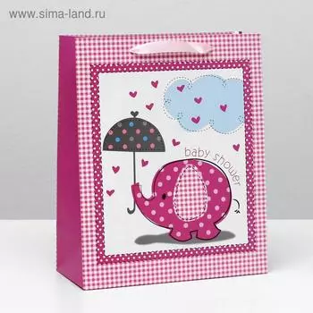 Пакет ламинированный, 26 x 32 x 12 см