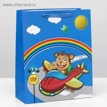 Пакет ламинированный, 26 x 32 x 12 см