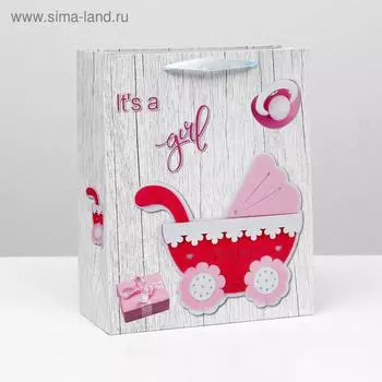 Пакет ламинированный, 26 x 32 x 12 см