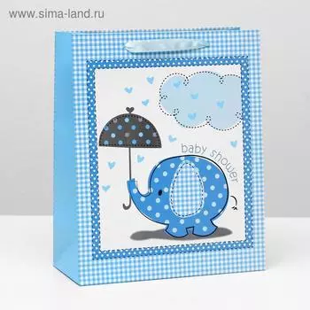 Пакет ламинированный, 26 x 32 x 12 см