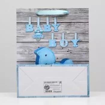 Пакет ламинированный, 26 x 32 x 12 см