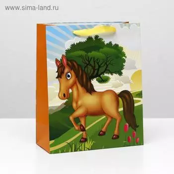 Пакет ламинированный, 26 x 32 x 12 см