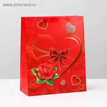 Пакет подарочный ламинированный, 26 x 32 x 12 см