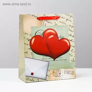 Пакет ламинированный, 26 x 32 x 12 см