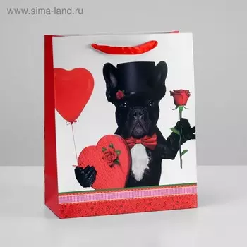 Пакет подарочный ламинированный, 26 x 32 x 12 см