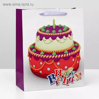 Пакет ламинированный, 26 x 32 x 12 см