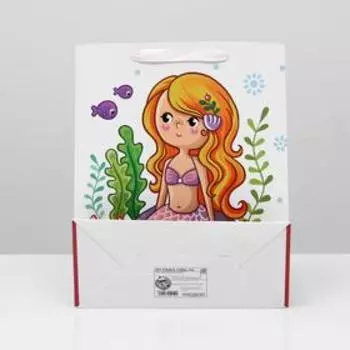 Пакет ламинированный, 26 x 32 x 12 см