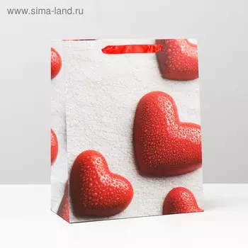 Пакет ламинированный, 26 x 32 x 12 см