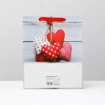 Пакет ламинированный, 26 x 32 x 12 см