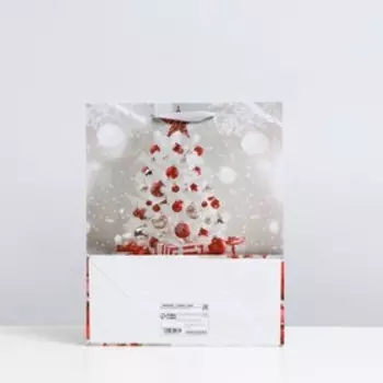 Пакет ламинированный 26x32x12