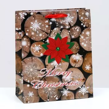 Пакет ламинированный 26x32x12