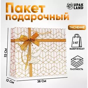 Пакет ламинированный «Бантик», 38 32 12 см