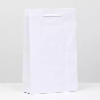 Пакет ламинированный, белый, 26,5 х 16,5 х 7 см