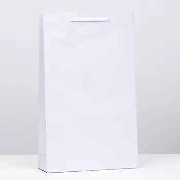 Пакет ламинированный, белый, 40,5 х 24,8 х 9 см