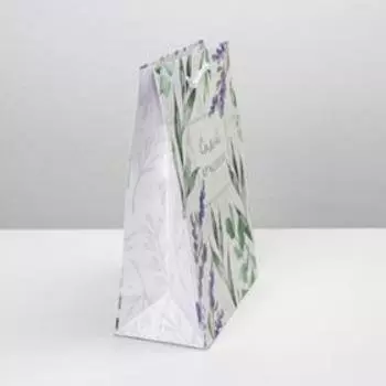 Пакет подарочный ламинированный, упаковка, Best wishes, MS 18 х 23 х 8 см